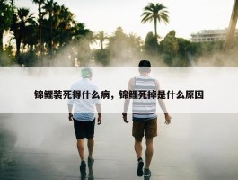 锦鲤装死得什么病，锦鲤死掉是什么原因