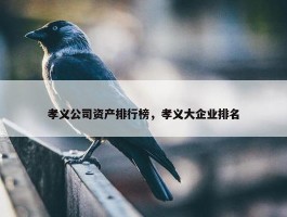 孝义公司资产排行榜，孝义大企业排名