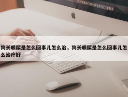 狗长眼屎是怎么回事儿怎么治，狗长眼屎是怎么回事儿怎么治疗好