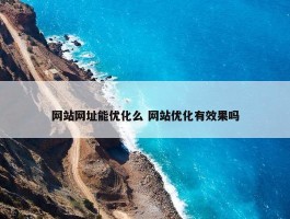 网站网址能优化么 网站优化有效果吗