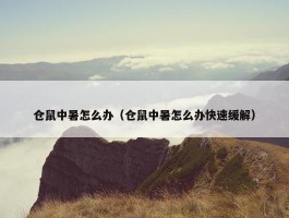 仓鼠中暑怎么办（仓鼠中暑怎么办快速缓解）