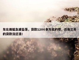 东北雨姐急速坠落，贷款1200多万买的楼，还有三年的贷款没还清！