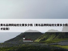 黄石品牌网站优化要多少钱（黄石品牌网站优化要多少钱才能做）