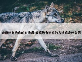 犬瘟热有治愈的方法吗 犬瘟热有治愈的方法吗吃什么药