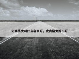 史宾格犬叫什么名字好，史宾格犬好不好