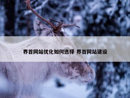 界首网站优化如何选择 界首网站建设