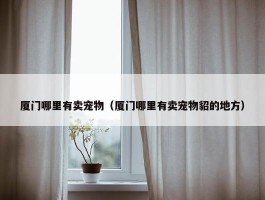 厦门哪里有卖宠物（厦门哪里有卖宠物貂的地方）