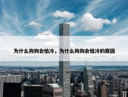 为什么狗狗会怕冷，为什么狗狗会怕冷的原因