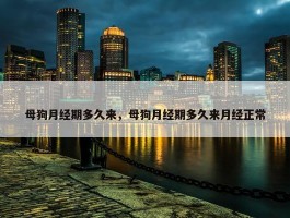 母狗月经期多久来，母狗月经期多久来月经正常