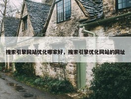 搜索引擎网站优化哪家好，搜索引擎优化网站的网址