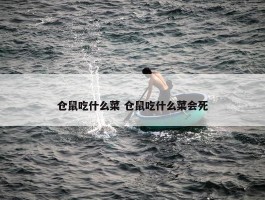 仓鼠吃什么菜 仓鼠吃什么菜会死