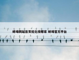 蚌埠网站首页优化找哪家 蚌埠官方平台