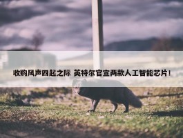 收购风声四起之际 英特尔官宣两款人工智能芯片！