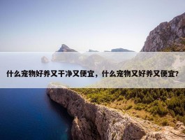 什么宠物好养又干净又便宜，什么宠物又好养又便宜?