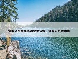 证券公司新媒体运营怎么做，证券公司传媒组