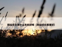 网站优化用什么导航好呢（网站优化那里好）