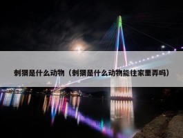 刺猬是什么动物（刺猬是什么动物能往家里弄吗）