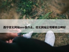 西宁优化网站seo是什么，优化网站公司哪家口碑好