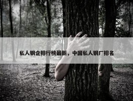 私人钢企排行榜最新，中国私人钢厂排名