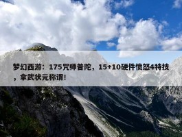 梦幻西游：175咒师普陀，15+10硬件愤怒4特技，拿武状元称谓！