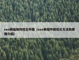 seo网站如何优化外链（seo教程外链优化方法和原理介绍）