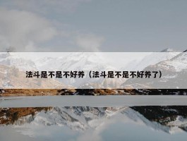 法斗是不是不好养（法斗是不是不好养了）