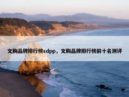 文胸品牌排行榜sdpp，文胸品牌排行榜前十名测评