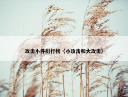 攻击小件排行榜（小攻击和大攻击）