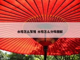 水榕怎么繁殖 水榕怎么分株图解