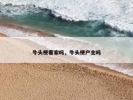 牛头梗看家吗，牛头梗户主吗