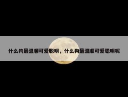 什么狗最温顺可爱聪明，什么狗最温顺可爱聪明呢