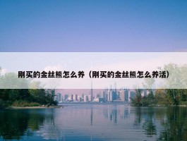 刚买的金丝熊怎么养（刚买的金丝熊怎么养活）