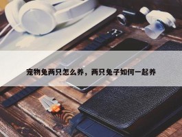 宠物兔两只怎么养，两只兔子如何一起养