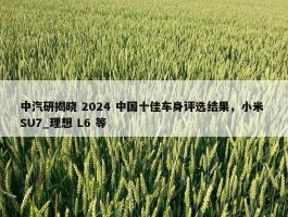 中汽研揭晓 2024 中国十佳车身评选结果，小米 SU7_理想 L6 等