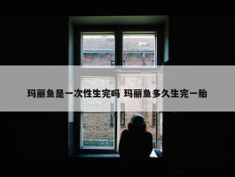 玛丽鱼是一次性生完吗 玛丽鱼多久生完一胎