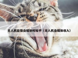 无人机能做自媒体吗知乎（无人机自媒体收入）