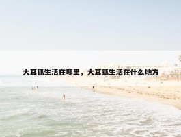 大耳狐生活在哪里，大耳狐生活在什么地方