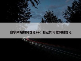 自学网站如何优化seo 自己如何做网站优化