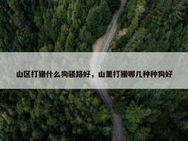 山区打猎什么狗骚路好，山里打猎哪几种种狗好