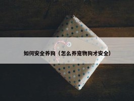 如何安全养狗（怎么养宠物狗才安全）