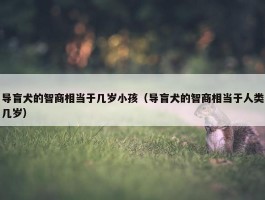 导盲犬的智商相当于几岁小孩（导盲犬的智商相当于人类几岁）