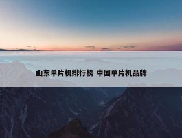 山东单片机排行榜 中国单片机品牌