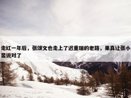 走红一年后，张颂文也走上了迟重瑞的老路，果真让张小斐说对了