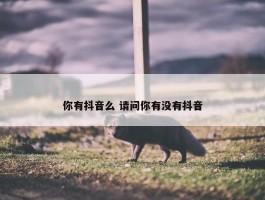 你有抖音么 请问你有没有抖音