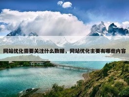 网站优化需要关注什么数据，网站优化主要有哪些内容