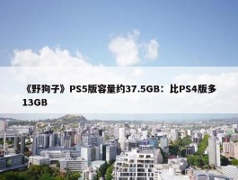 《野狗子》PS5版容量约37.5GB：比PS4版多13GB