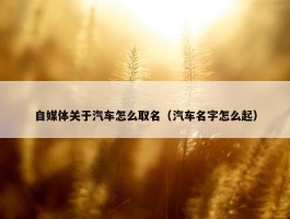 自媒体关于汽车怎么取名（汽车名字怎么起）