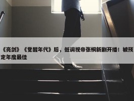 《亮剑》《觉醒年代》后，低调视帝张桐新剧开播！被预定年度最佳