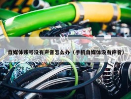 自媒体账号没有声音怎么办（手机自媒体没有声音）