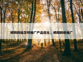 揭阳网站怎样推广产品优化，揭阳网络推广